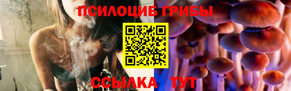Галлюциногенные грибы Psilocybe  Вход с VPN  Курчалой 